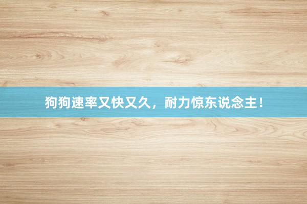 狗狗速率又快又久，耐力惊东说念主！