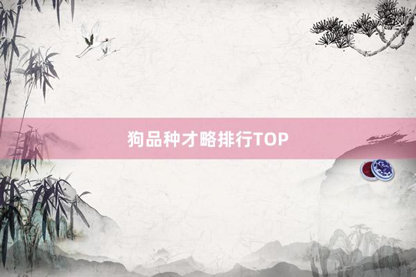 狗品种才略排行TOP