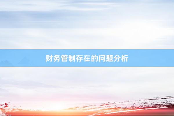 财务管制存在的问题分析